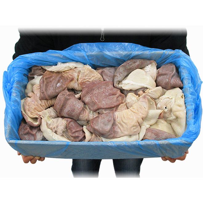 国産 ”豚胃袋（ガツ）ボイル” 約10kg 未カット : くらし快援隊