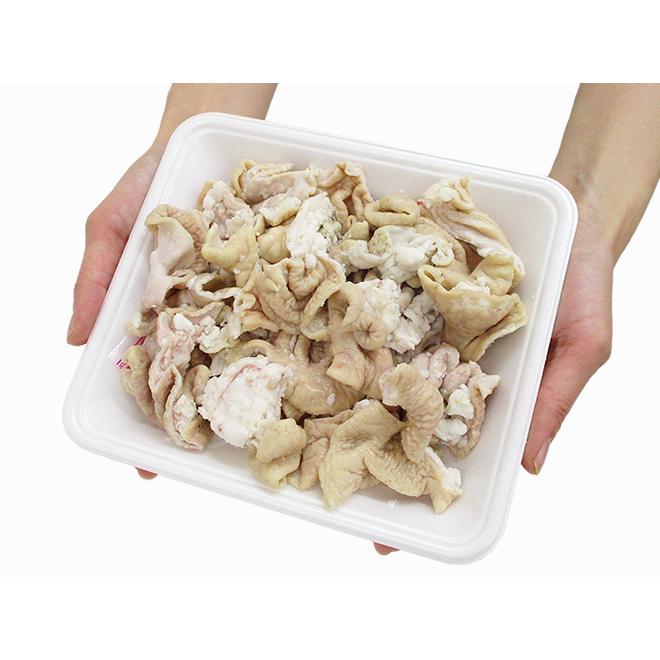 大きな豚 金色豚（大）｜WooBia公式オンラインショップ – WooBia