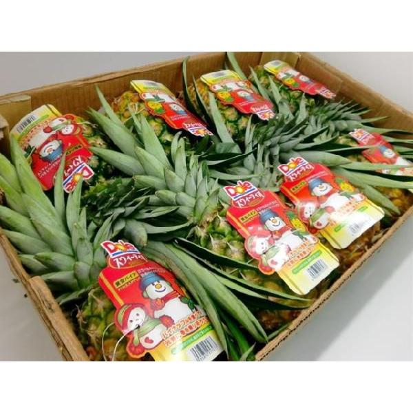 フィリピン産 ”ゴールデンパイン” 大玉 6〜8玉 約10kg【予約 入荷次第発送】 送料無料_4