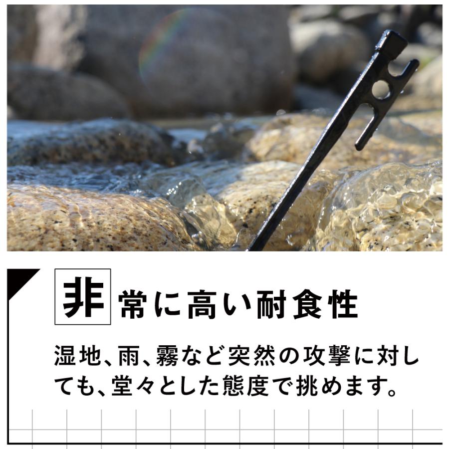 IWANOペグ 鍛造 日本製 30cm 16本セット 硬い地面でもぐいぐい