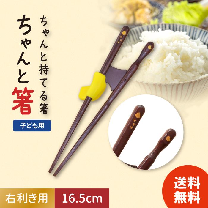 右利き矯正箸 イシダ  ちゃんと箸 16.5cm こども用 子供箸 子ども箸（Yahoo!・暮らしのLife）