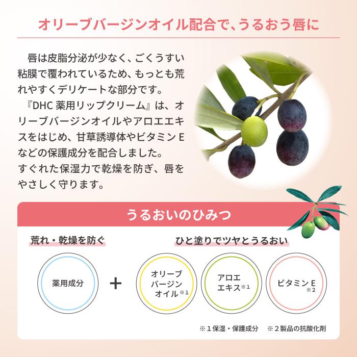 DHC薬用 DHC 薬用リップクリーム 保湿 無香料 無着色 トリートメント 10個