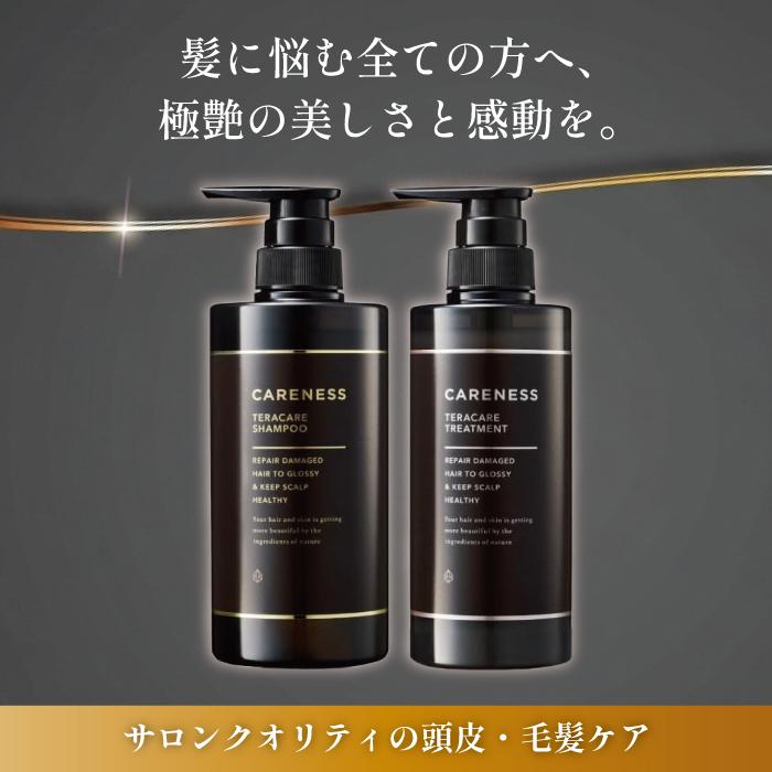 ケアネス シャンプー トリートメント サロン専売 日本製 スカルプ