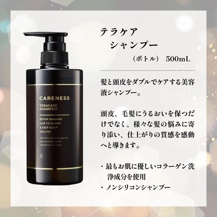 ケアネス シャンプー トリートメント サロン専売 日本製 スカルプ