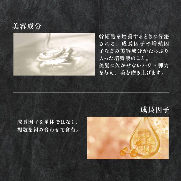 ケアネス シャンプー トリートメント 詰め替え 日本製 エイジングケア