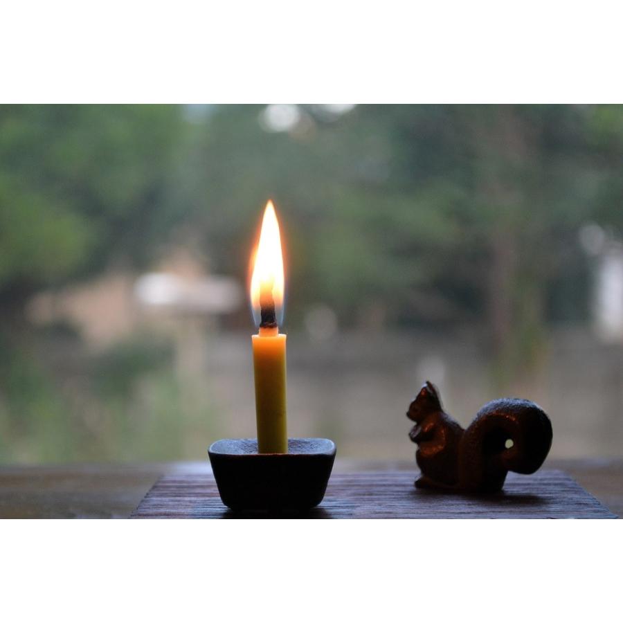 りす置物 | 鈴木盛久工房 (岩手県) [南部鉄器 動物 リス かわいい