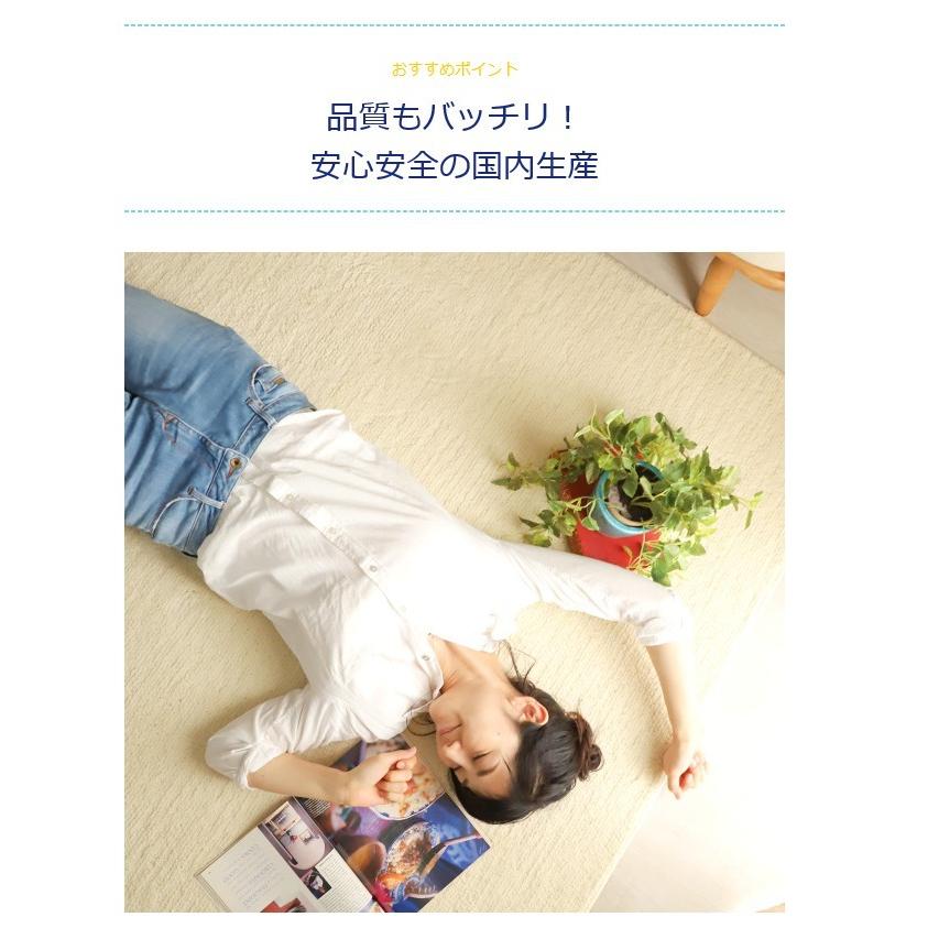 防ダニ・抗菌・消臭・ウィルス花粉対策に国産高機能ラグ『ポッシュ アイボリー』 約190x240cm |kurashidecora|06