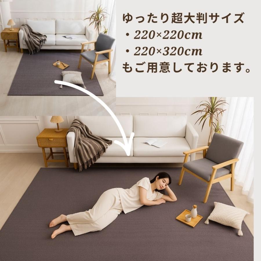 ラグ 130×185 ベージュ 洗える ヘリンボーン 0812.jpg