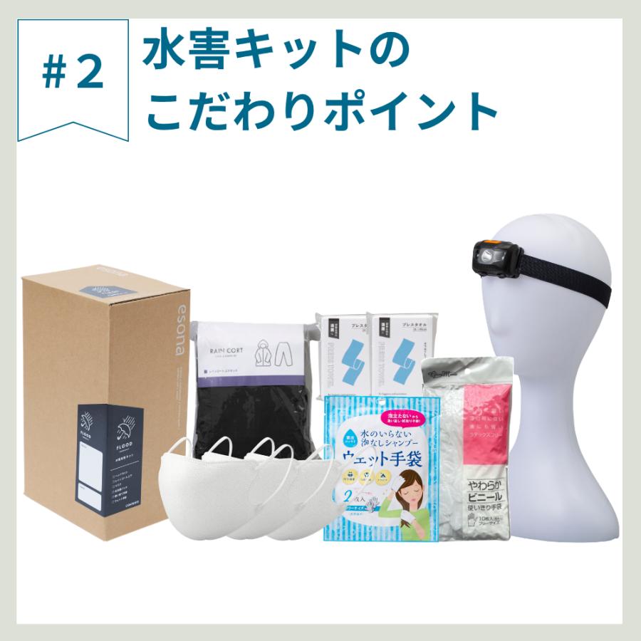 岸田産業 防災セット スタンダード+水害セット esona 防災士監修 防災 