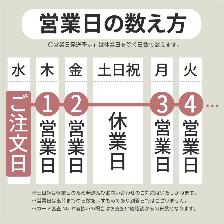 【LINE友達追加で500円OFF!】防災セット 1人用  一人用 防災グッズ セット キャリー 防災リュック 災害グッズ 避難グッズ 非常用持ち出し袋 食料 台風 停電｜kurashido｜20