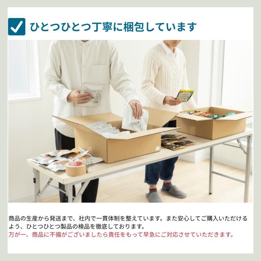 岸田産業 防災グッズ 防災セット 2人用 セット 防災グッズ 非常食
