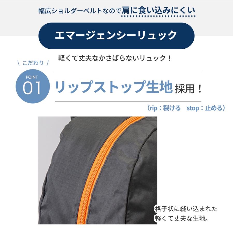 岸田産業 防災セット 緊急防災 21点セット(800E) 防災用品 防災 グッズ