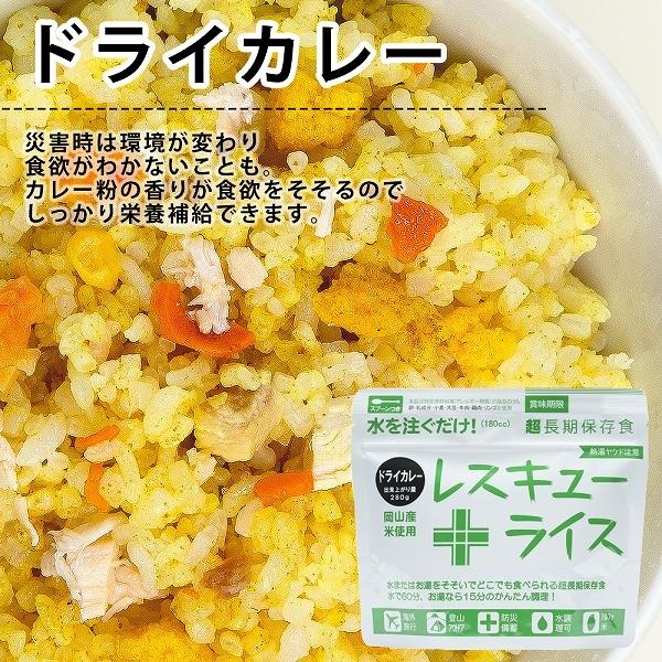 岸田産業 レスキューライス ドライカレー 100食 非常食 保存食