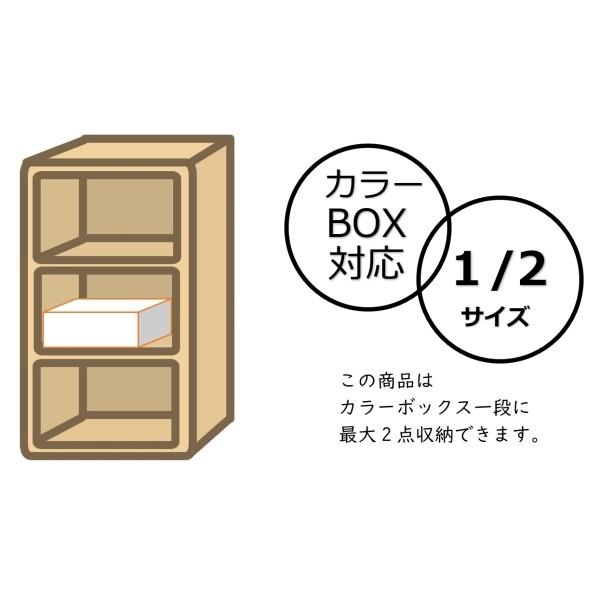 ちどり産業 PPストラップバスケット SF-902 ベージュ (幅38×奥行26×高