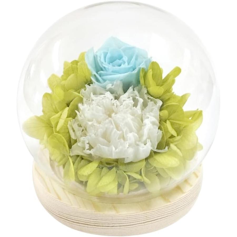 スープ プリザーブドフラワー スフィアドーム 咲 C36650 ブルー 仏花