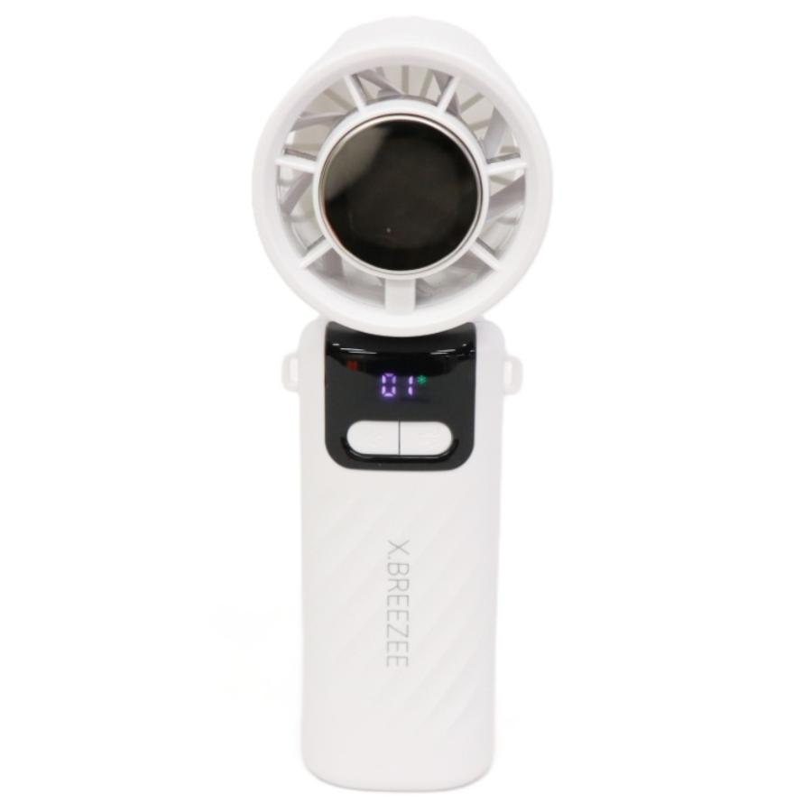 ヒロ・コーポレーション X.BREEZEE 冷却プレート付き100段階ハンディー