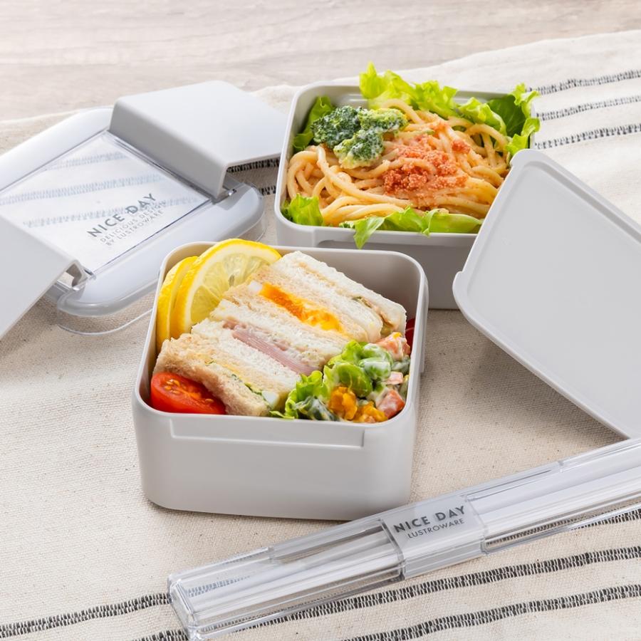 岩崎工業 Lustroware(ラストロウェア)イージーケア レディースランチ