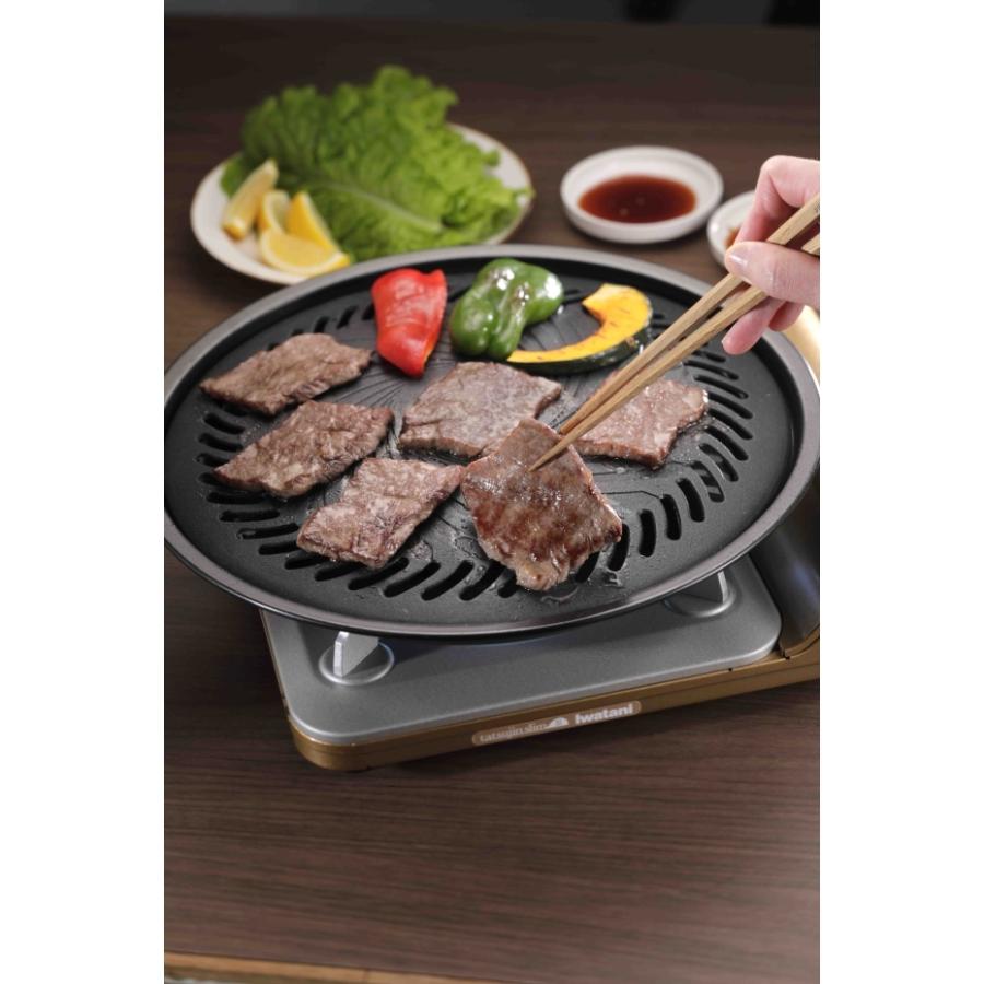 楽天市場】焼肉プレート イワタニ カセットフー専用 プレート