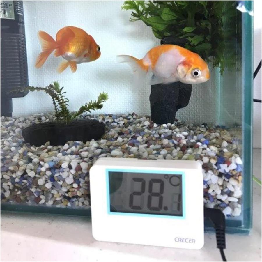 クレセル いろいろつかえるデジタル隔測温度計 AP-40 W ホワイト