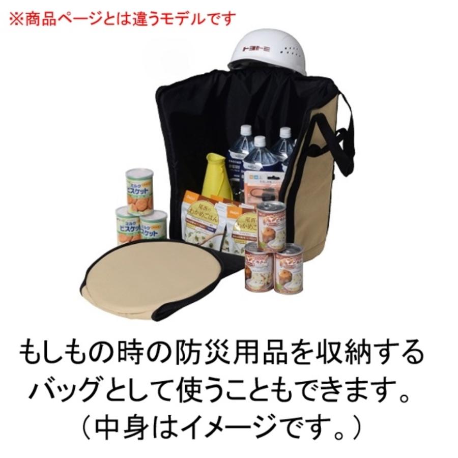 TOYOTOMI（トヨトミ） GEARMISSION ストーブバッグ RRG-GE2 (RR-GE25を