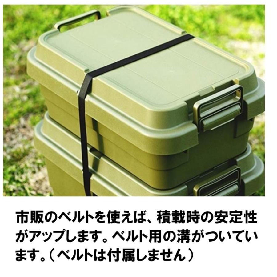 RISU（リス） スタッキングトランクカーゴ TC-50S LOW GR グリーン (浅