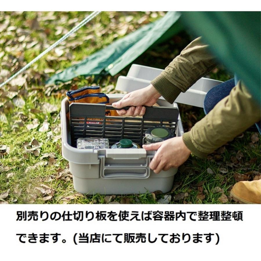 RISU（リス） スタッキングトランクカーゴ TC-30S LOW BK ブラック (浅