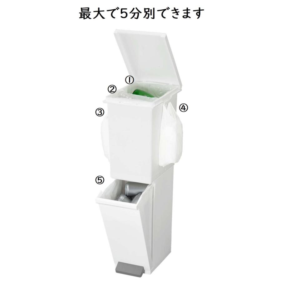 TONBO（新輝合成） トンボ ネオカラー 分別スリムペダル 2段 36L