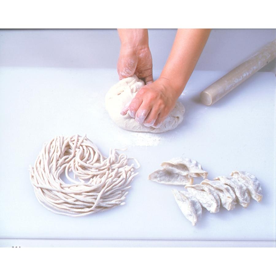 TONBO（新輝合成） トンボ マナイタ業務用 2cm厚 50×27cm (日本製