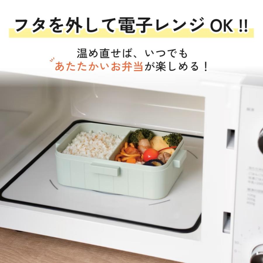 スケーター （宅急便コンパクト） Skater YZFL7 4点ロックランチ