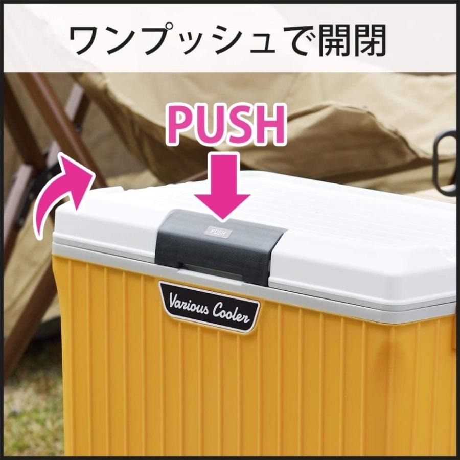 SANKA サンカ ベリアスクーラー 9L VAC-9 WHGR ホワイトグリーン 高