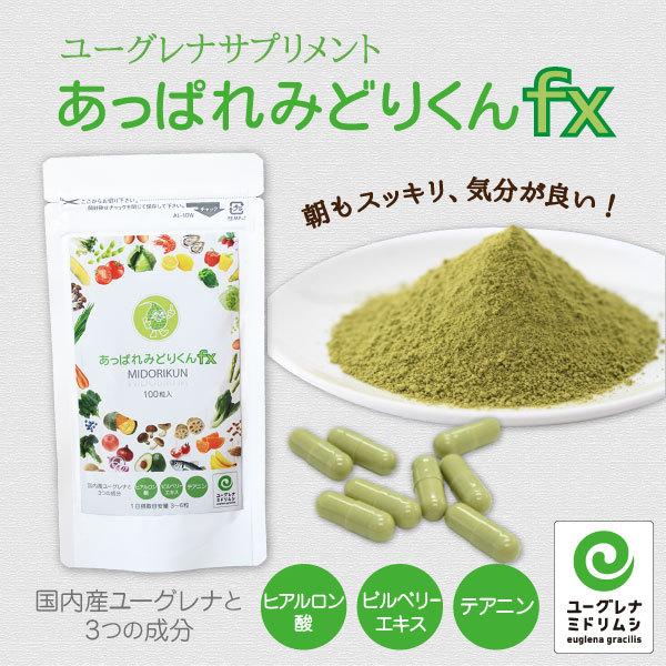 ユーグレナ サプリ あっぱれみどりくんfx100粒 10個まとめ買い みどりむし 効果 百貨店