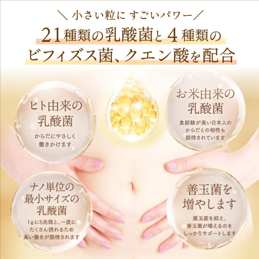 腸内細菌善玉1兆個菌で、ご健康でお元気に。 - その他 加工食品