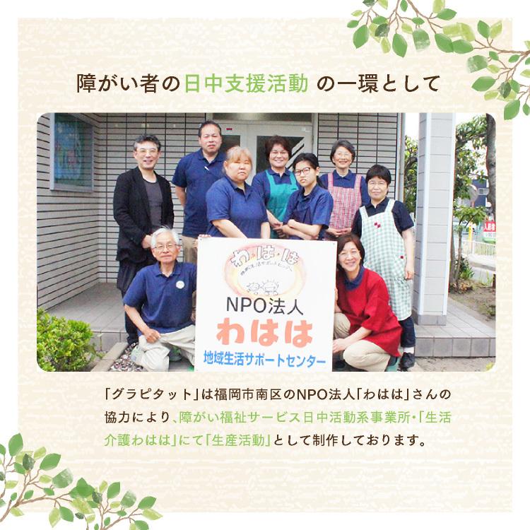 バランスクッションで体幹トレーニングが座ってできるグラピタット Gp001 くらしいきいき Yahoo店 通販 Yahoo ショッピング