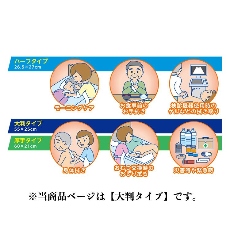 サルバ ケアディスポタオル 大判タイプ 個包装 30本×12 白十字 42720