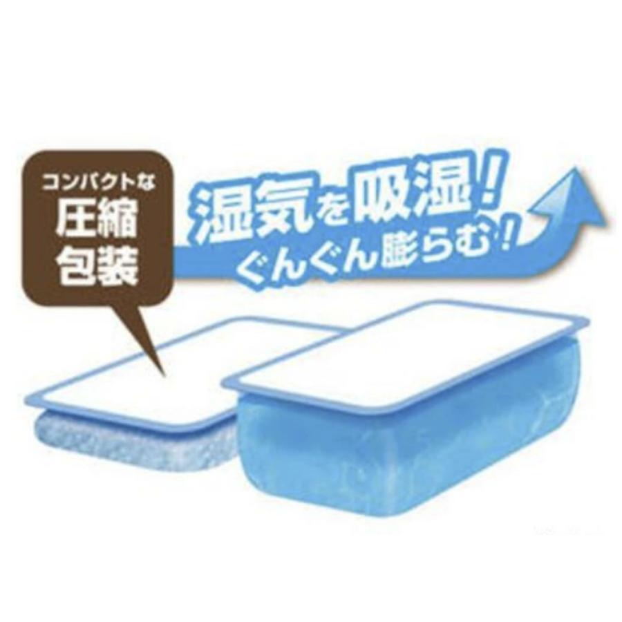 ドライ＆ドライUP 黒のNECO（くろねこ）1000mL×2個入 除湿剤 貯水