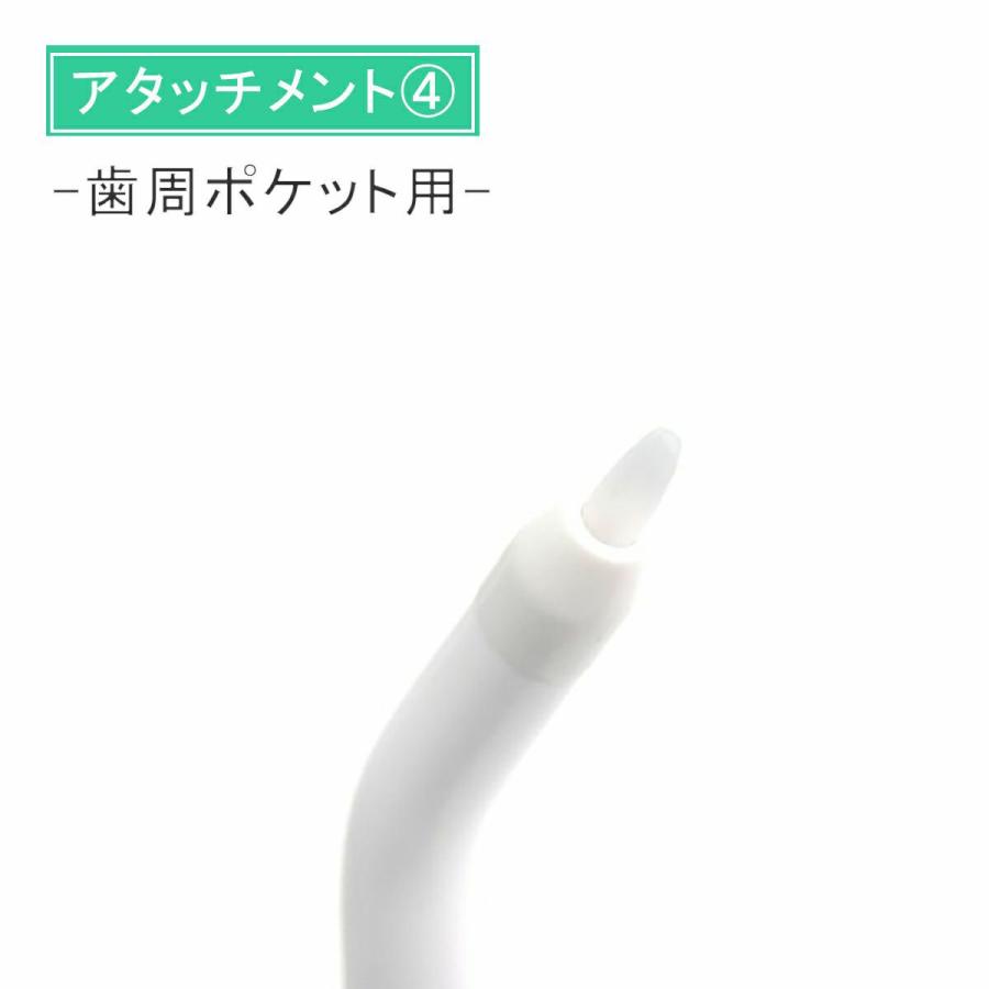 アントレックス 口腔洗浄器 電動 高圧洗浄 虫歯予防 歯垢除去 ノズル6