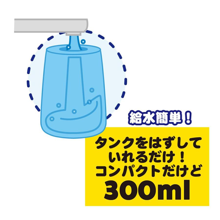 アントレックス 口腔洗浄器 電動 高圧洗浄 虫歯予防 歯垢除去 ノズル6