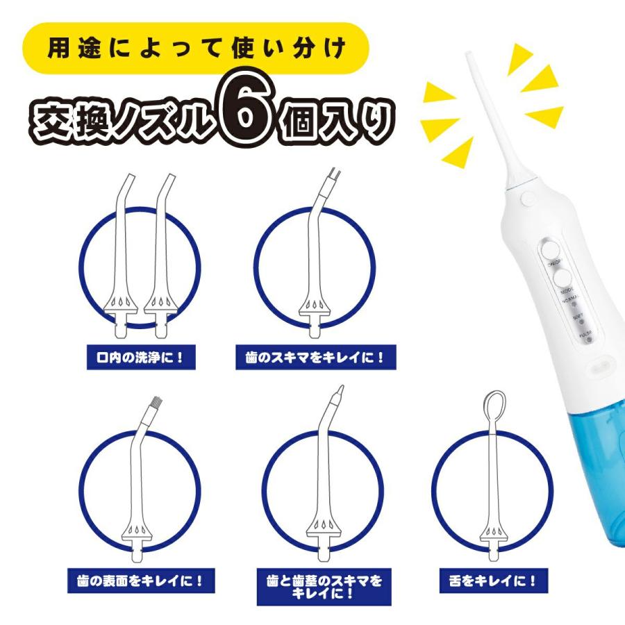 アントレックス 口腔洗浄器 電動 高圧洗浄 虫歯予防 歯垢除去 アントレックス 口腔洗浄器 電動 高圧洗浄 虫歯予防 歯垢除去