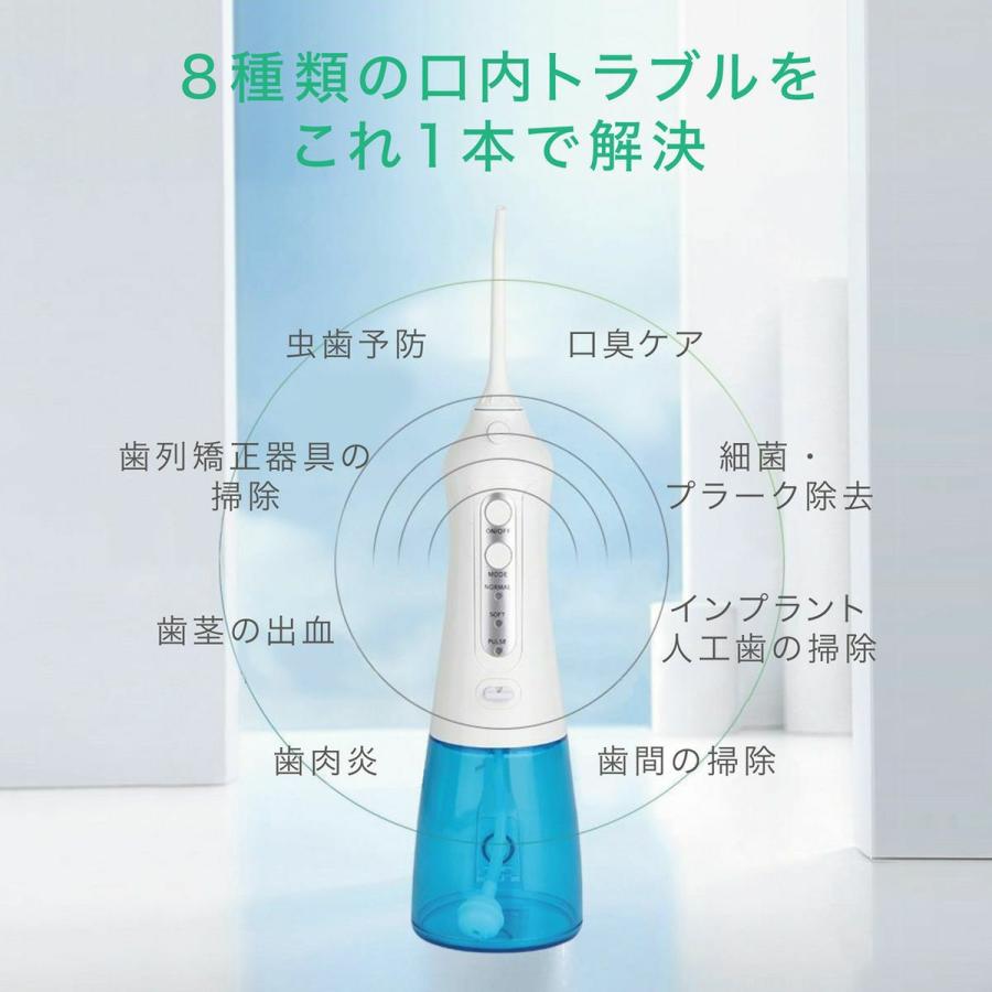 アントレックス 口腔洗浄器 電動 高圧洗浄 虫歯予防 歯垢除去 ノズル6