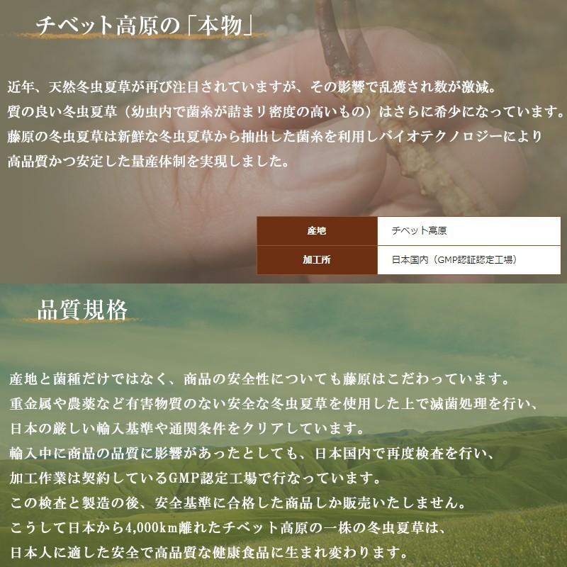 冬虫夏草 粉末 サプリメント カプセル 365mg×90粒 チベット高原産菌糸100% 特定菌種 国内加工 GMP認証認 日本メーカー製品 藤原 :fujihara-90:E-one イーワン暮らし館 - 通販 - Yahoo!ショッピング 冬虫夏草 粉末 サプリメント カプセル 365mg×90粒 チベット高原産菌糸100% 特定菌種 国内加工 GMP認証認 日本メーカー製品 藤原 :fujihara-90:E-one イーワン暮らし館 - 通販 - Yahoo!ショッピング