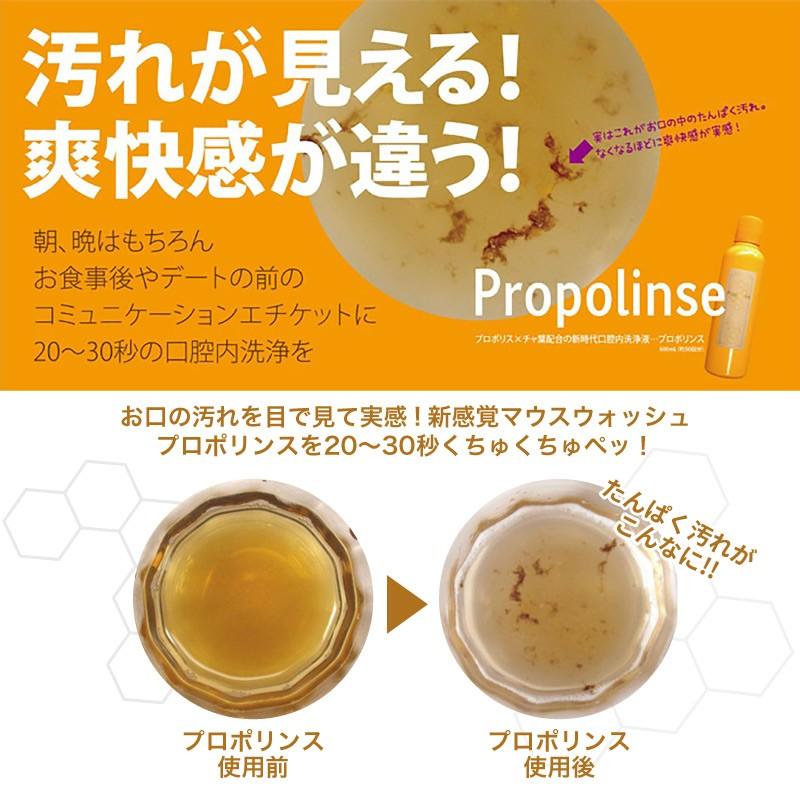 プロポリンス 10本セット マウスウォッシュ 600ml ×10p お買得セット