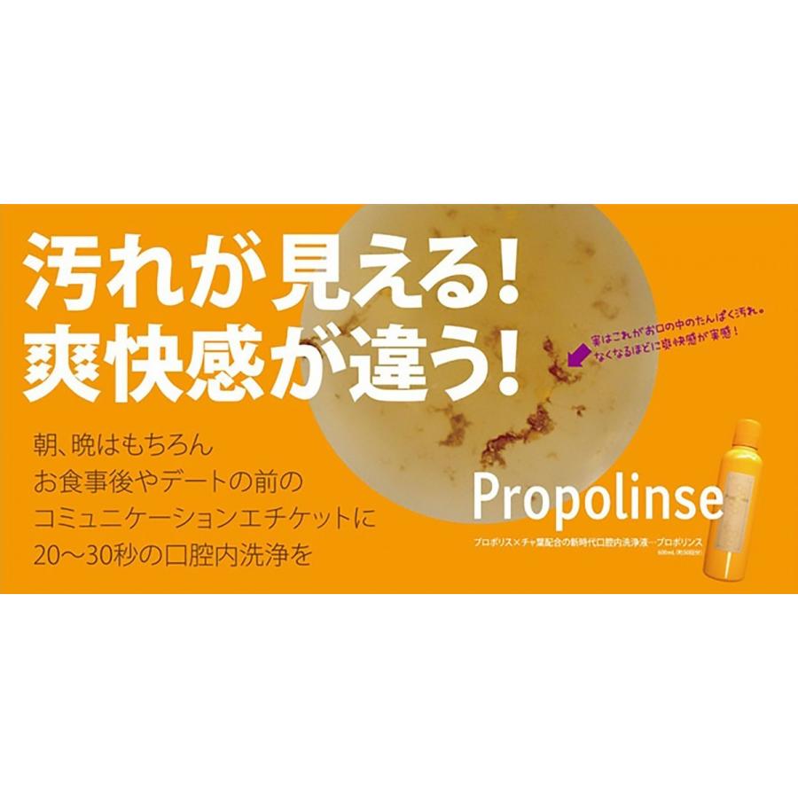 プロポリンス Propolinse 洗口液 600ml 30個セット 口内洗浄