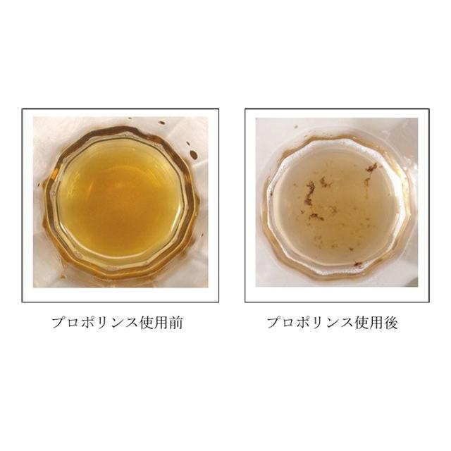 プロポリンス マウスウォッシュ 600ml 30個セット Propolinse 洗口液 プロポリンス 600ml 30本(1ケース)