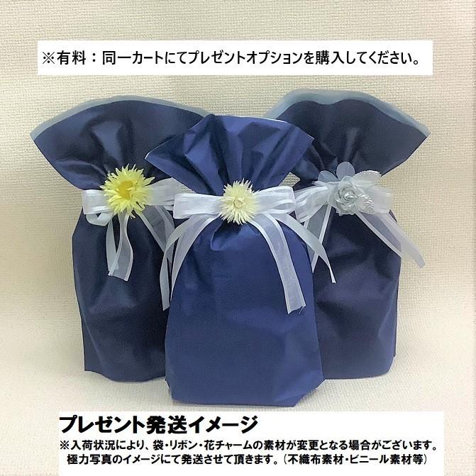 Harehareグラス 2個セット 特典有り ポイント15％ 正規品 ハレハレ