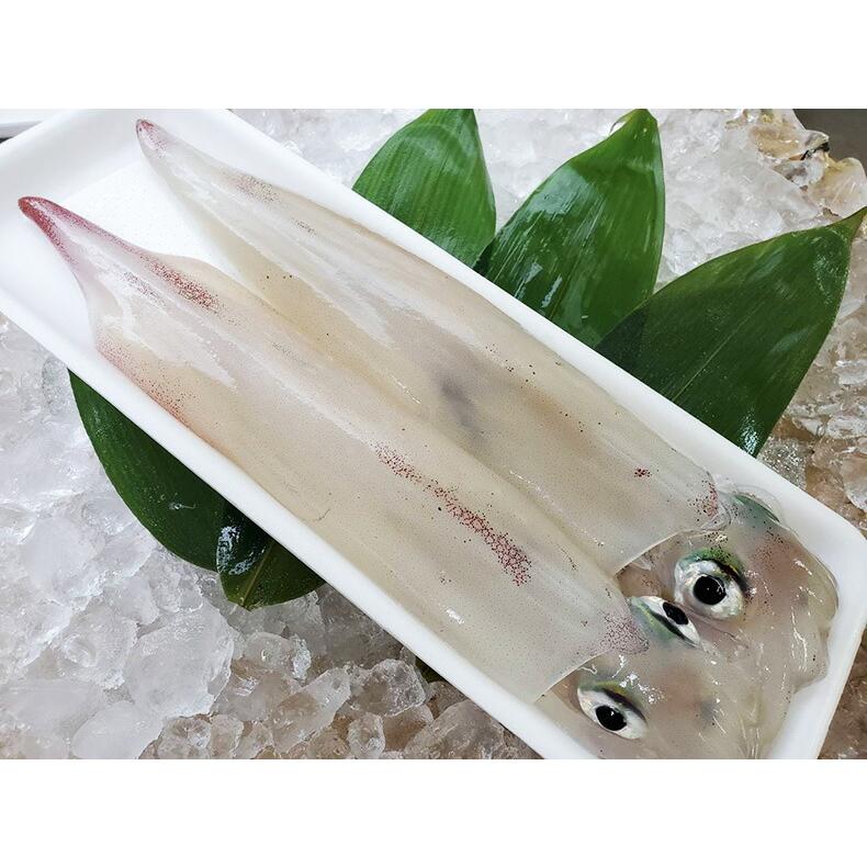 剣先イカ 2本 3本 1箱2 3杯 合計600g 700g 旬の鮮魚セット 玄界灘産 ヤリイカ 福岡県鐘崎漁港産 墨取り済み 料亭卸品質 活魚を絞めて出荷 ギフト広場 Dce Sengyo 4 暮らしのマート 通販 Yahoo ショッピング