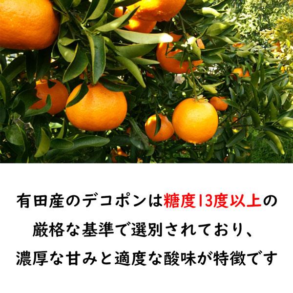 デコポン 有田 不知火 みかん 4kg以上 (5kg箱) 秀品 茶段ボール箱 M〜2Lサイズ 小玉 和歌山県産 AQ選果場 しらぬい 高級フルーツ ギフト 果物 ギフト広場_2