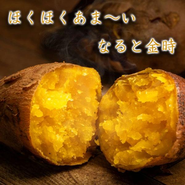 なると金時 里むすめ 徳島県産 さつまいも 5kg L-2Lサイズ 10-20本入