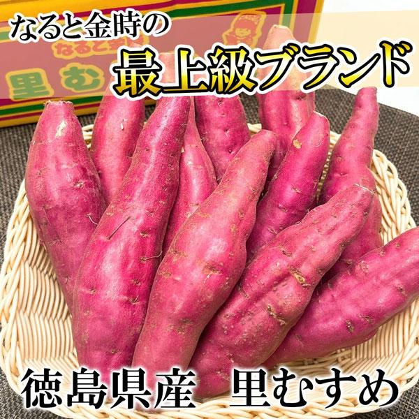 なると金時 里むすめ 徳島県産 さつまいも 5kg L-2Lサイズ 10-20本入