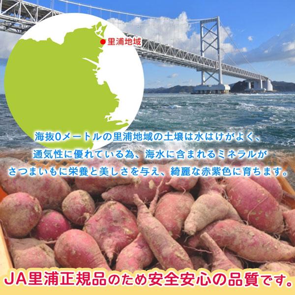 なると金時 里むすめ 徳島県産 さつまいも 5kg L-2Lサイズ 10-20本入