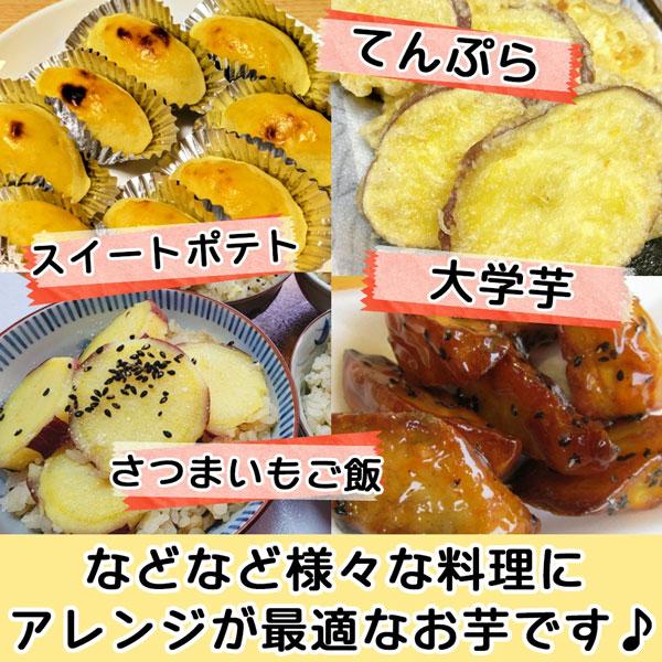 なると金時 里むすめ 徳島県産 さつまいも 5kg L-2Lサイズ 10-20本入